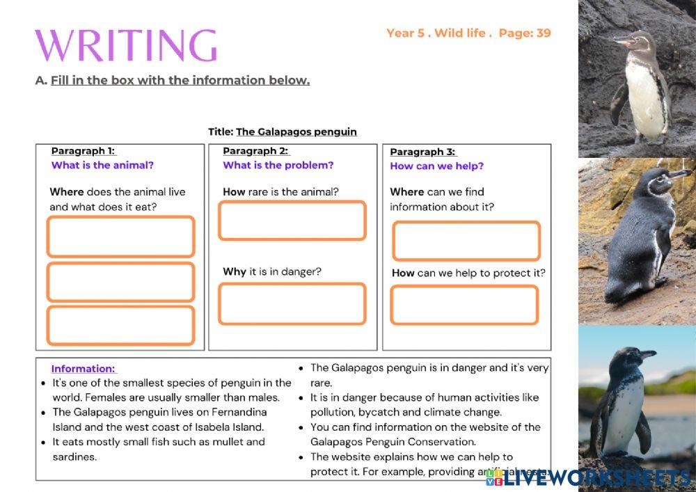 Year 5 English Page 39