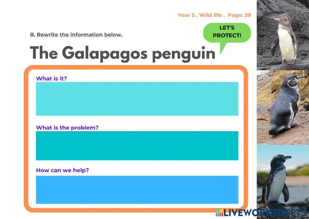 Year 5 English Page 39