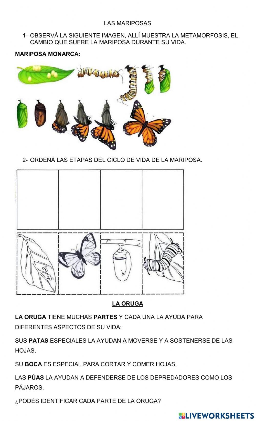 Las mariposas