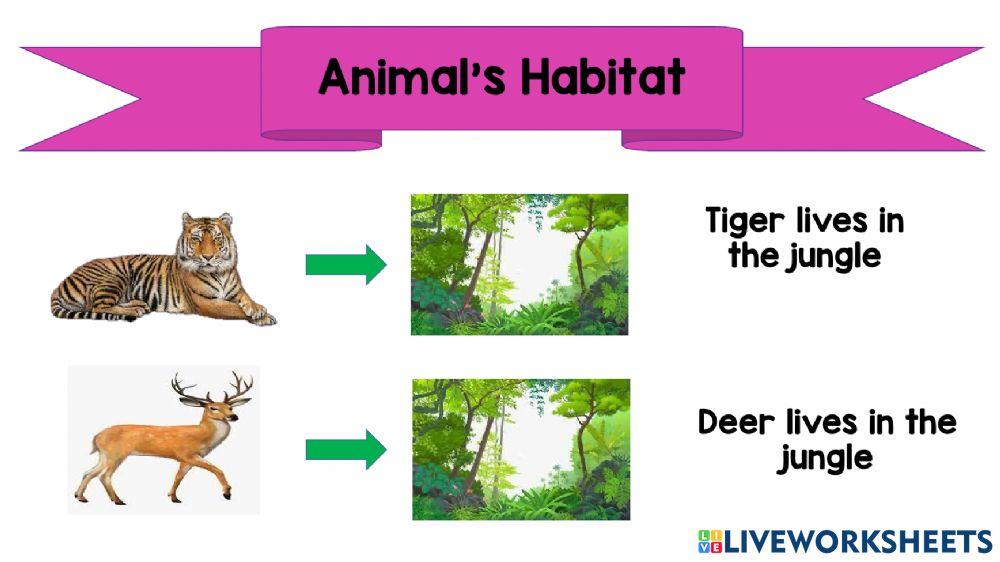 Animal habitat