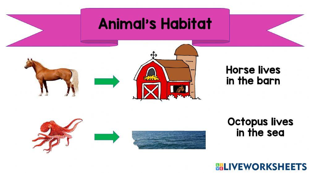 Animal habitat