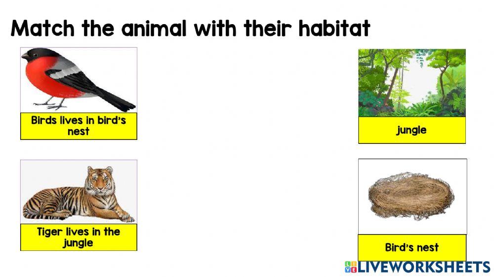 Animal habitat