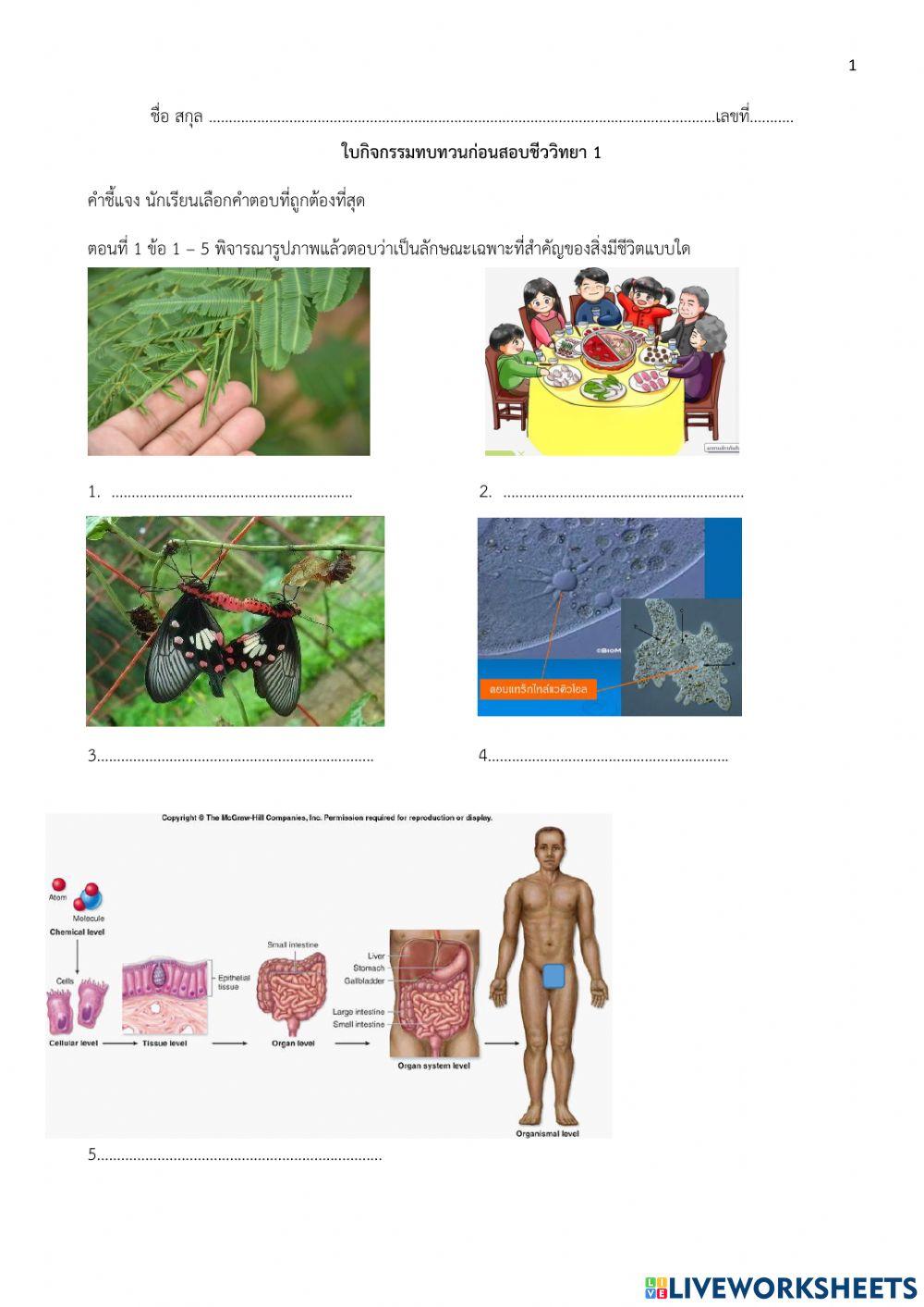 ทบทวนชีววิทยา 1