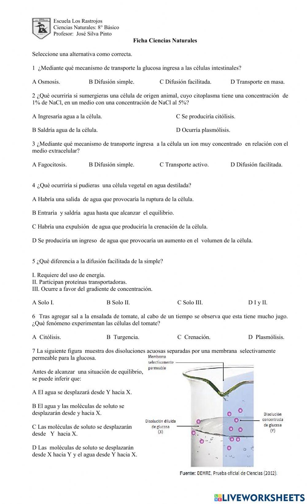 Mecanismos de transporte en la membrana plasmática