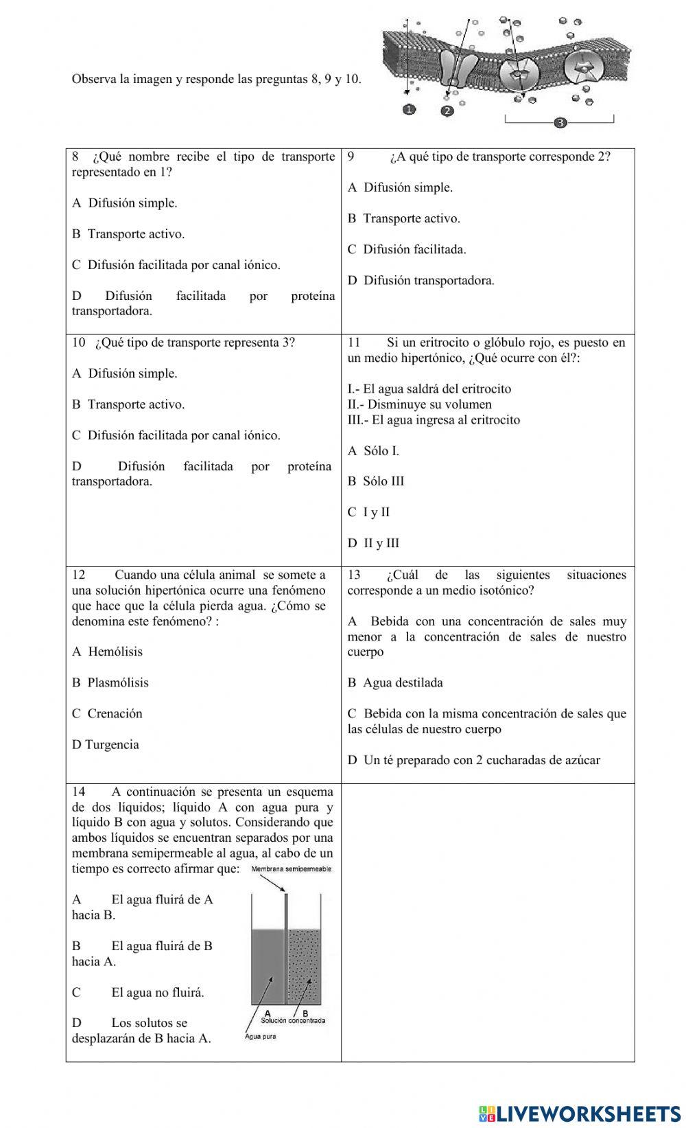 Mecanismos de transporte en la membrana plasmática