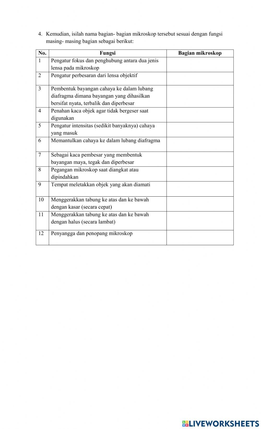 LKPD Mikroskop