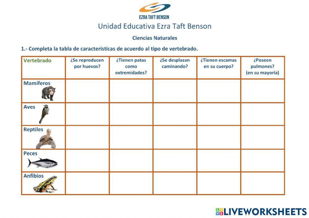 Características de los vertebrados