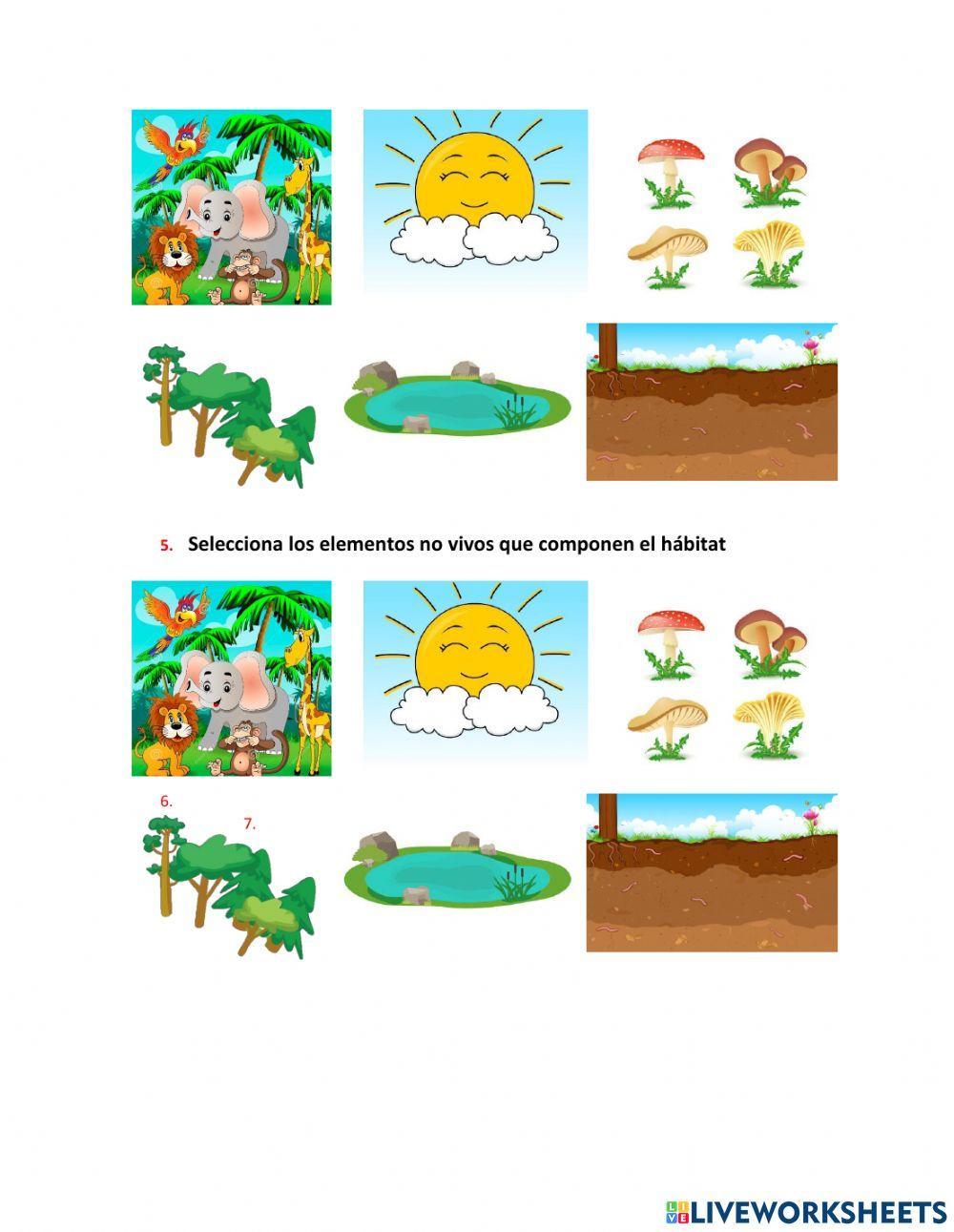 Quiz de ciencias naturales 1-