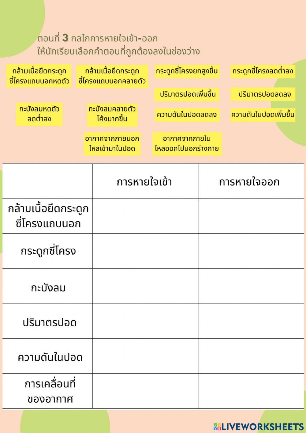 ระบบหายใจ