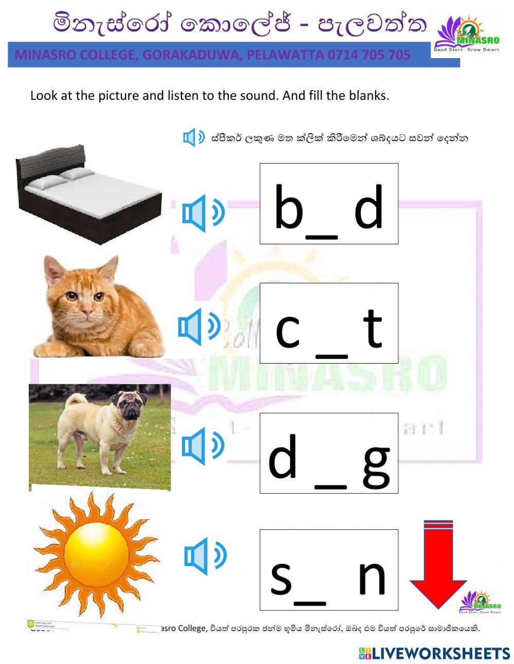 Minasro - phonics sound practicing