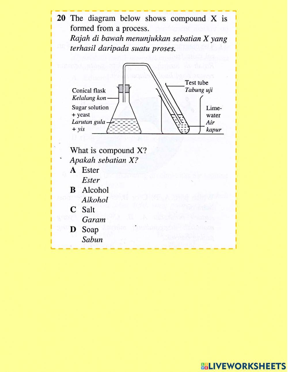 Sebatian Karbon (objektif 11-20)