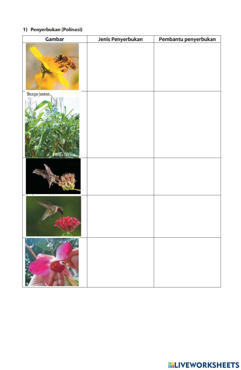 LKPD Perkembangbiakan Tumbuhan Part 1 SMP Kelas 9