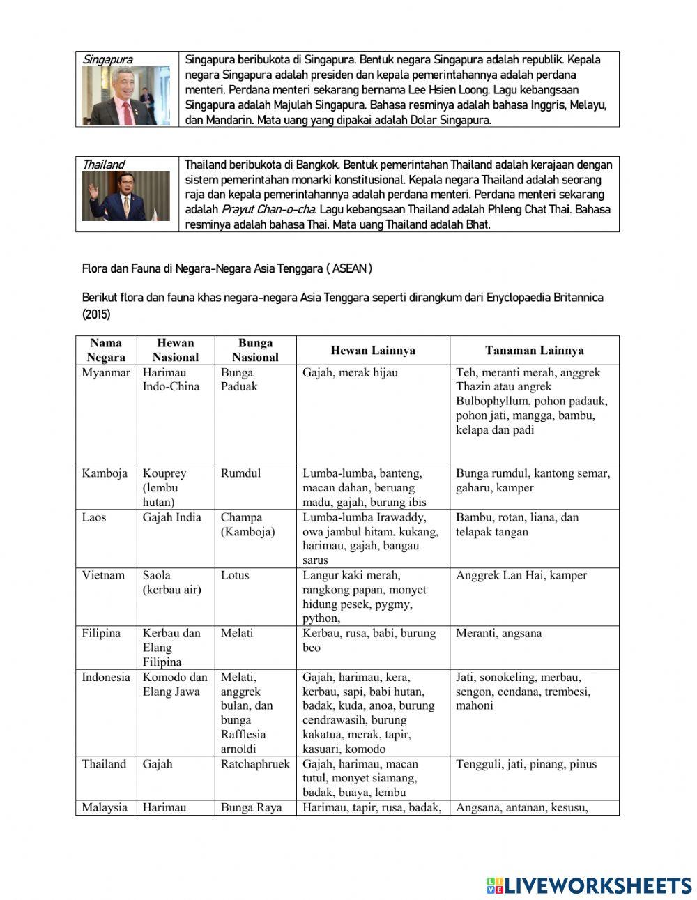 Ila - IPS Tema 1 ST 3
