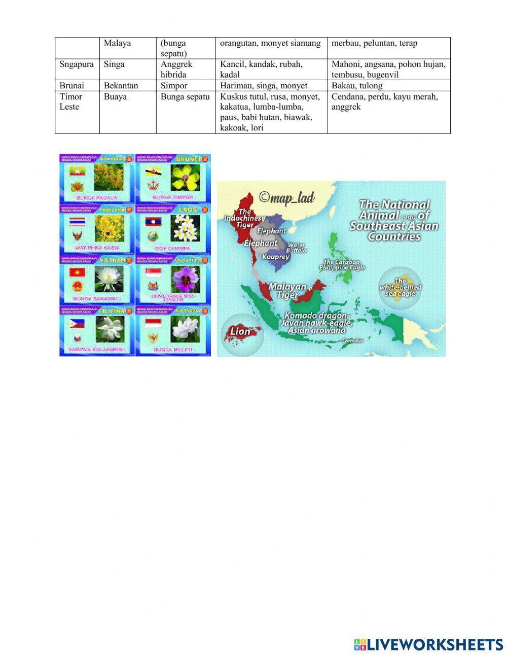 Ila - IPS Tema 1 ST 3