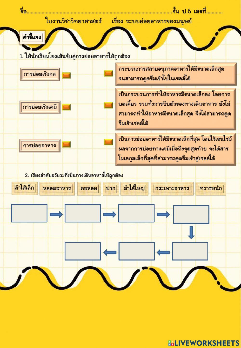 ระบบย่อยอาหารของมนุษย์