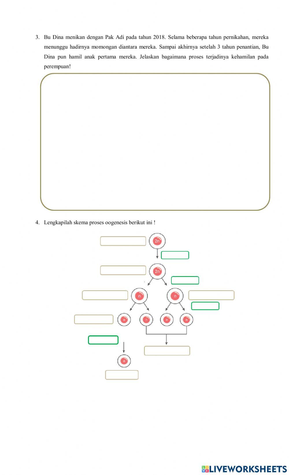 Ulangan Harian Sistem Reproduksi Manusia
