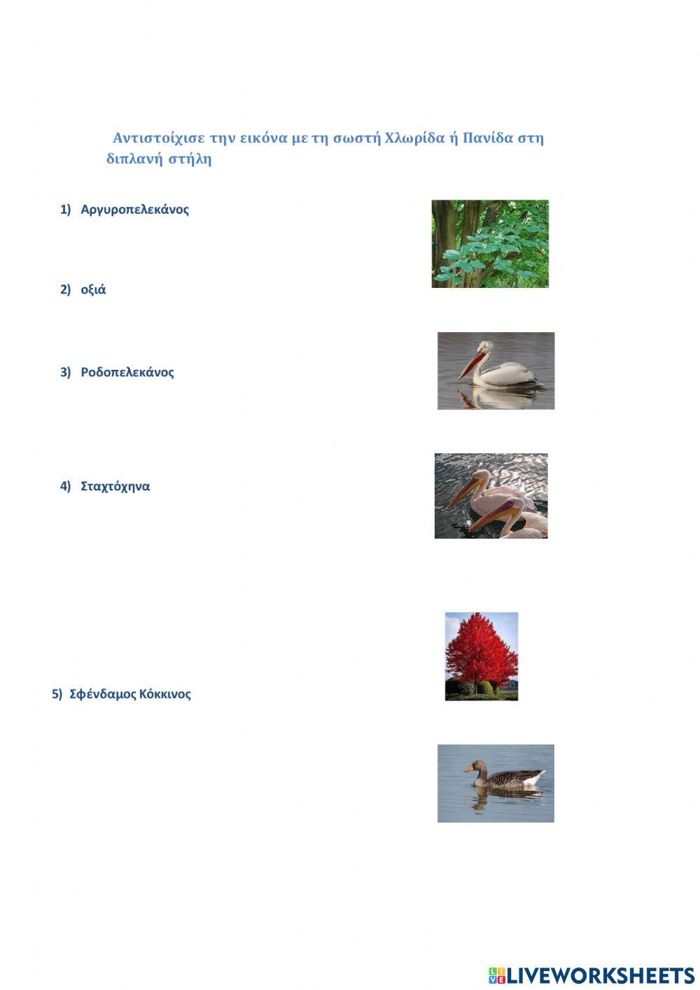 Εθνικός Δρυμός Πρεσπών,