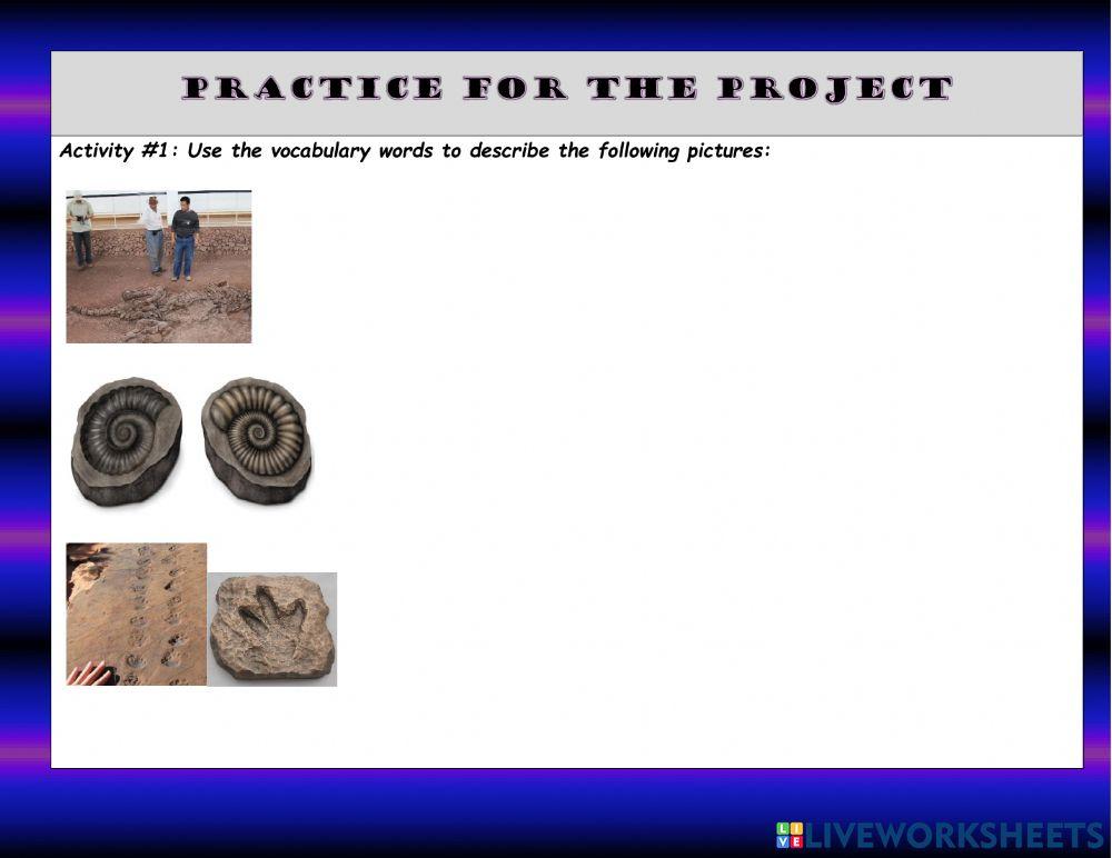 Practice for the project- Fossils