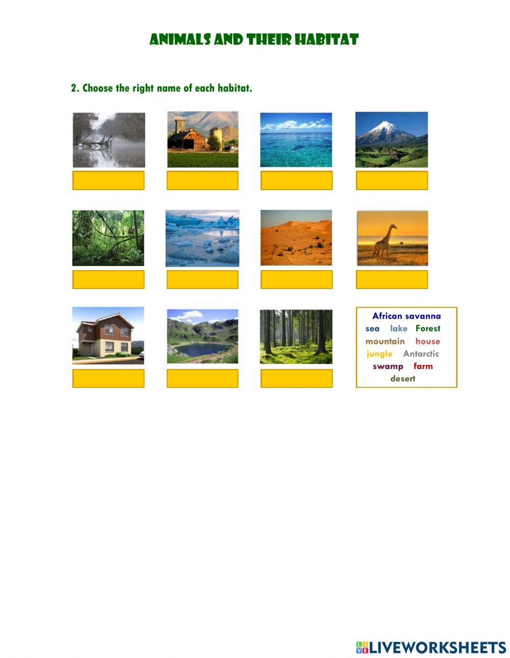 Animals and their habitat