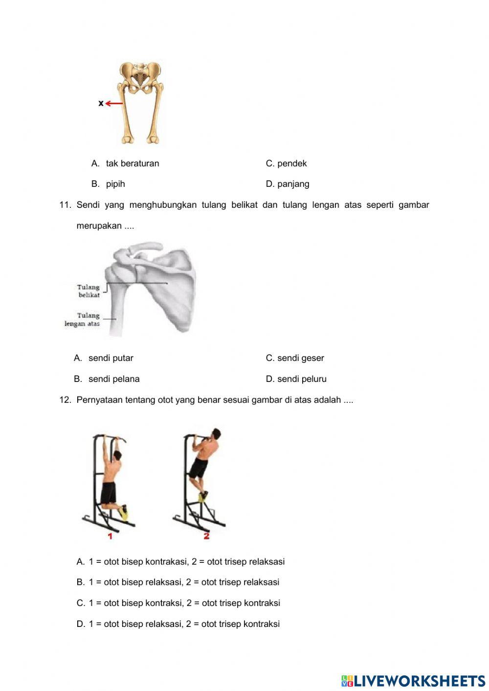 Uh gerak benda dan makhluk hidup