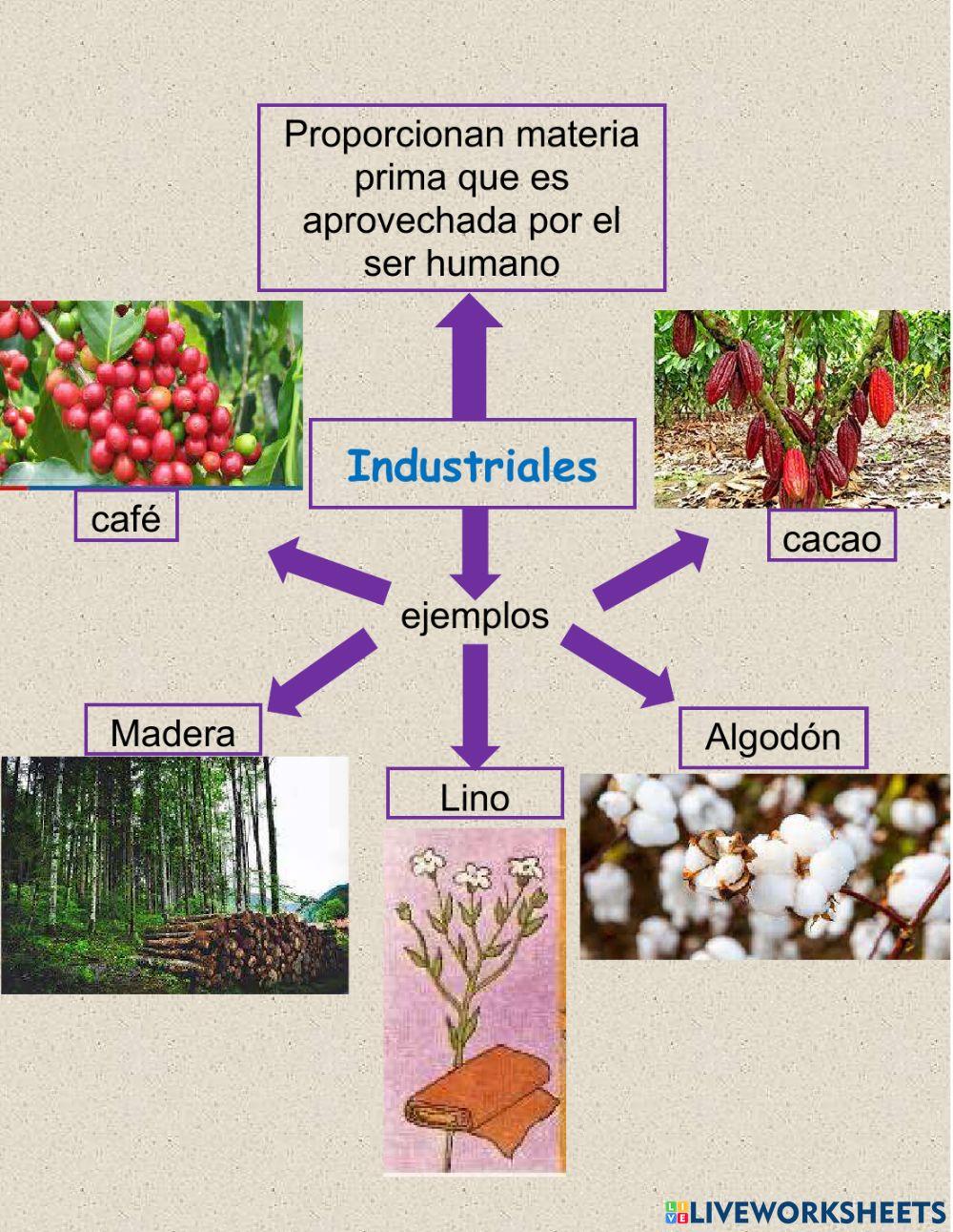 Utilidad: industriales