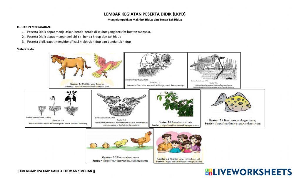 Lkpd ciri-ciri makhluk hidup