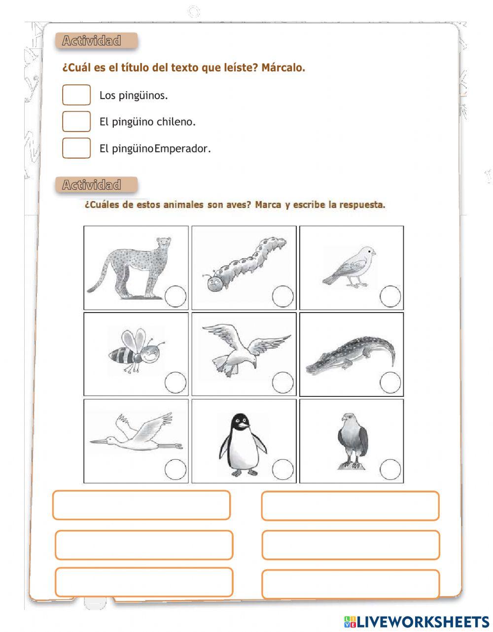 El Pingüino Emperador