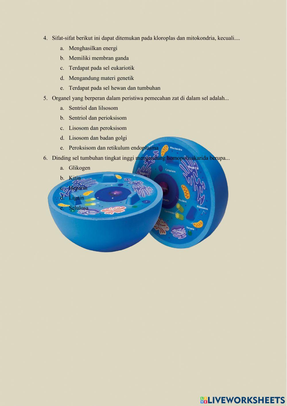 Sel dan Transpor Zat