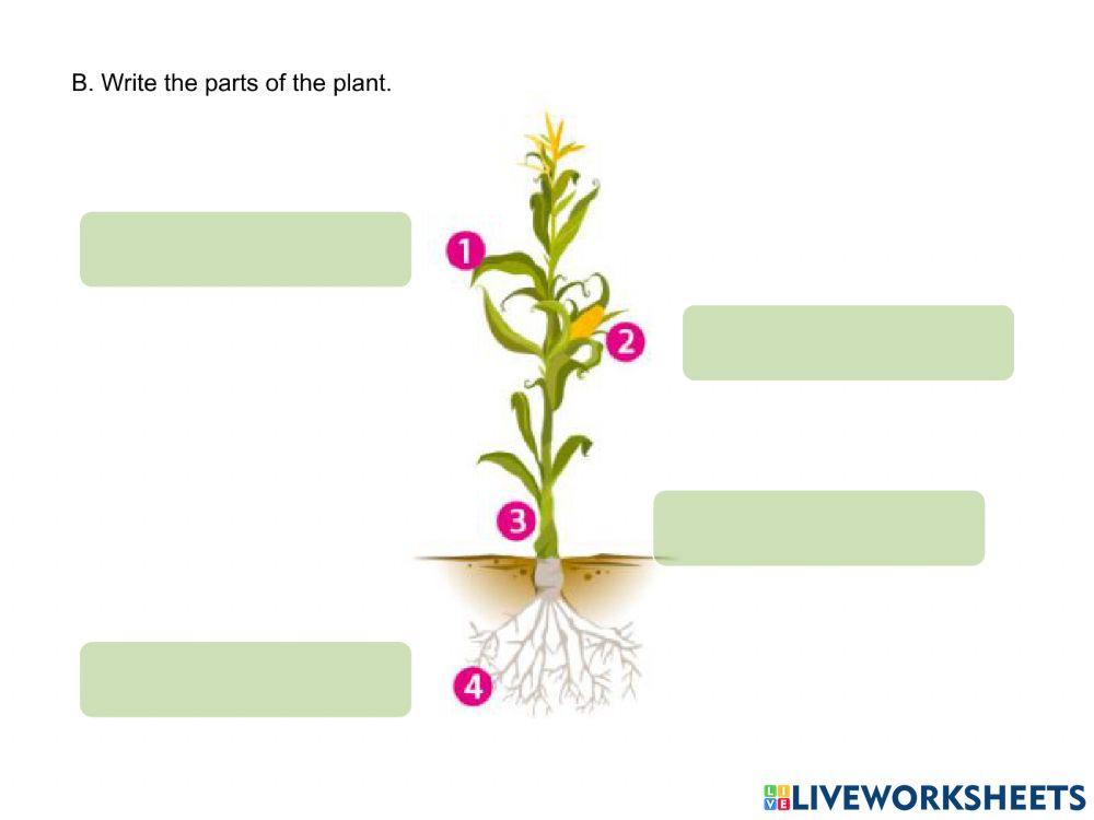 Review unit 3 - english zone gt