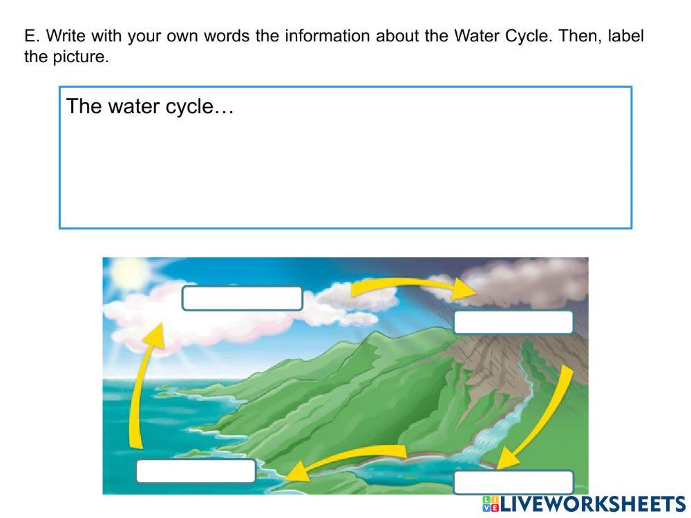 Sixth grade unit exam