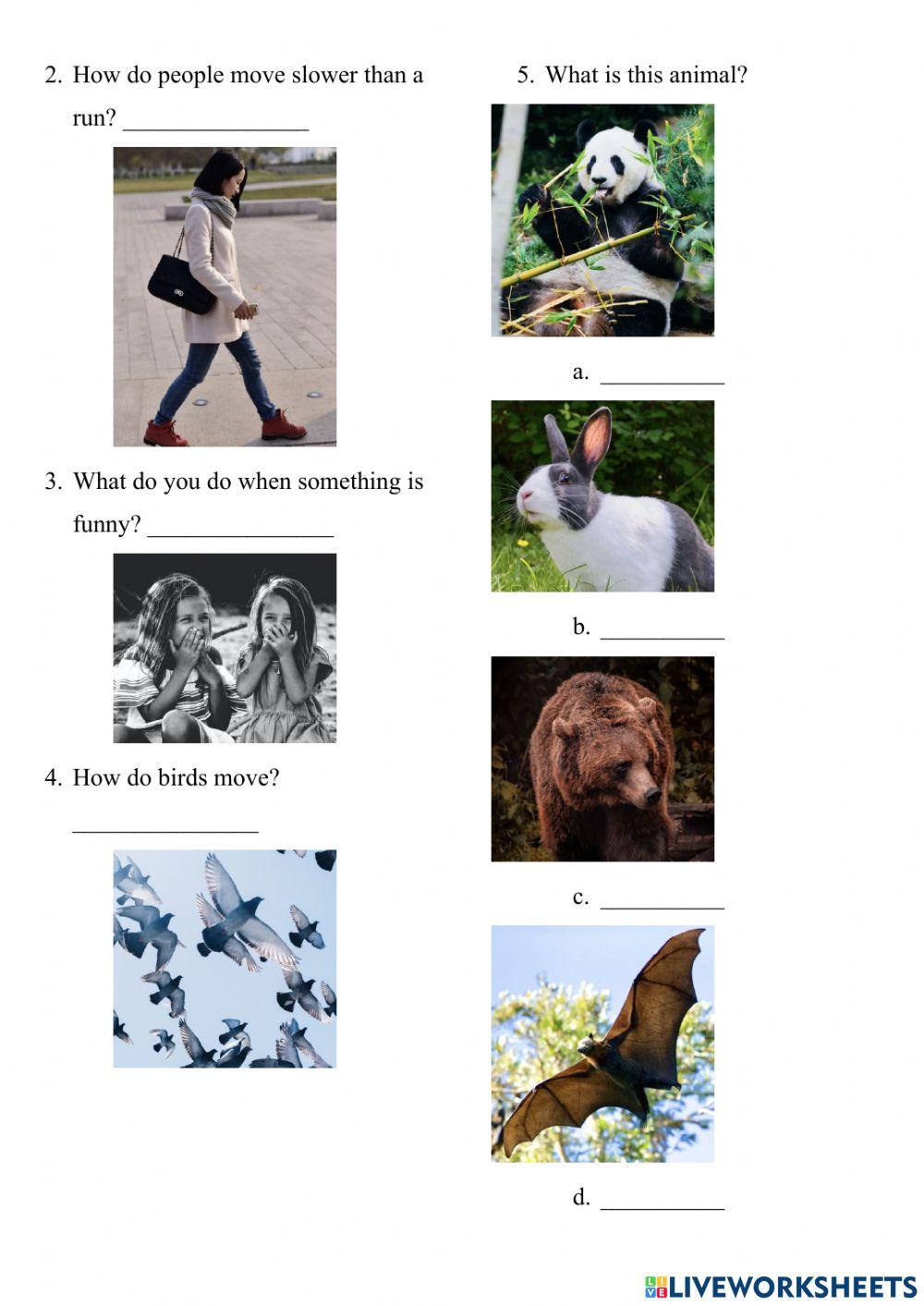 PowerUp 2 Unit 5-PowerUp 3 Unit 1 Quiz -1