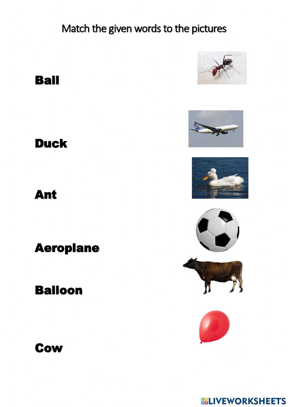 Matching words to pictures | Live Worksheets