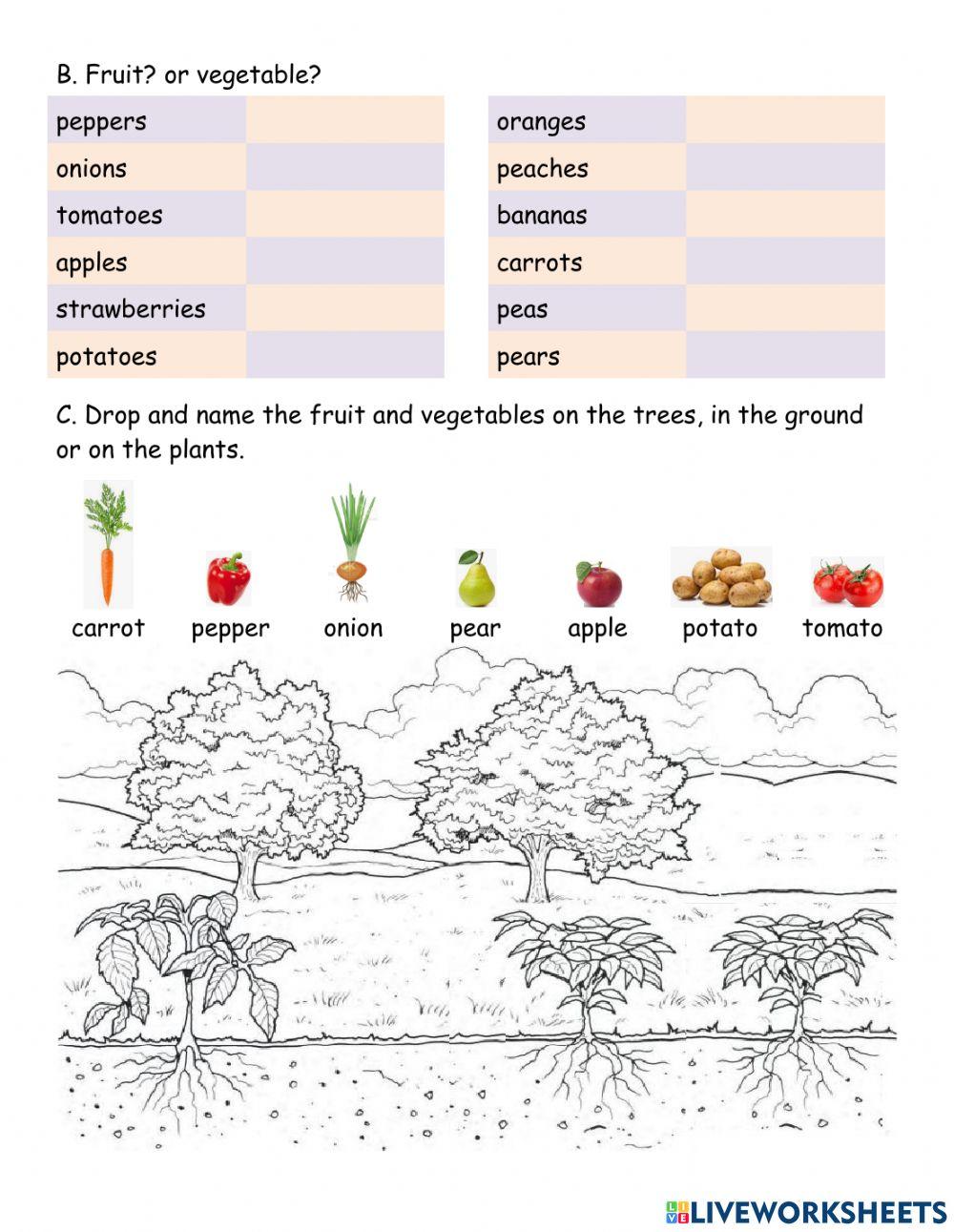 Unit 4.8 Lunchtime: Fruit and vegetable