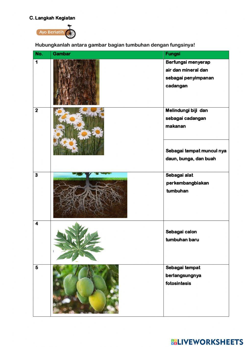 Lkpd tema 3 subtema 1 pb 3