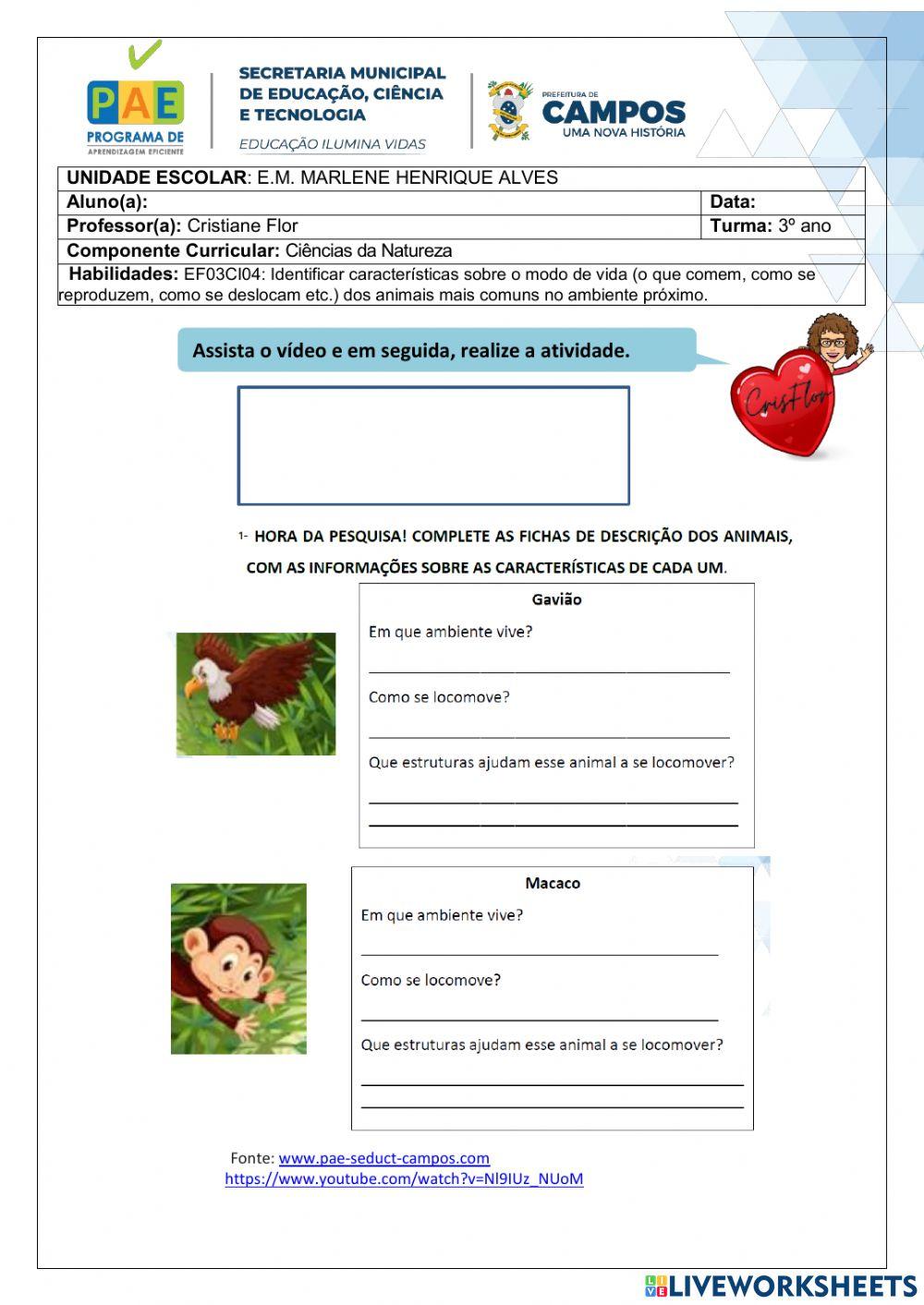Animais e suas características (EF03CI04)