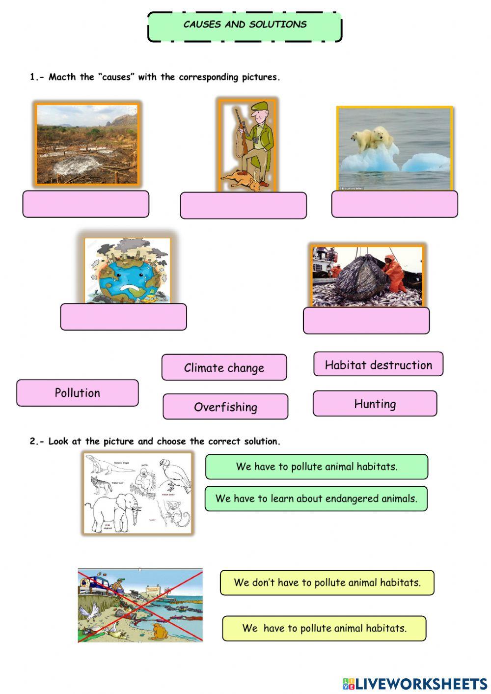 Causes and solutions - Endangered animals