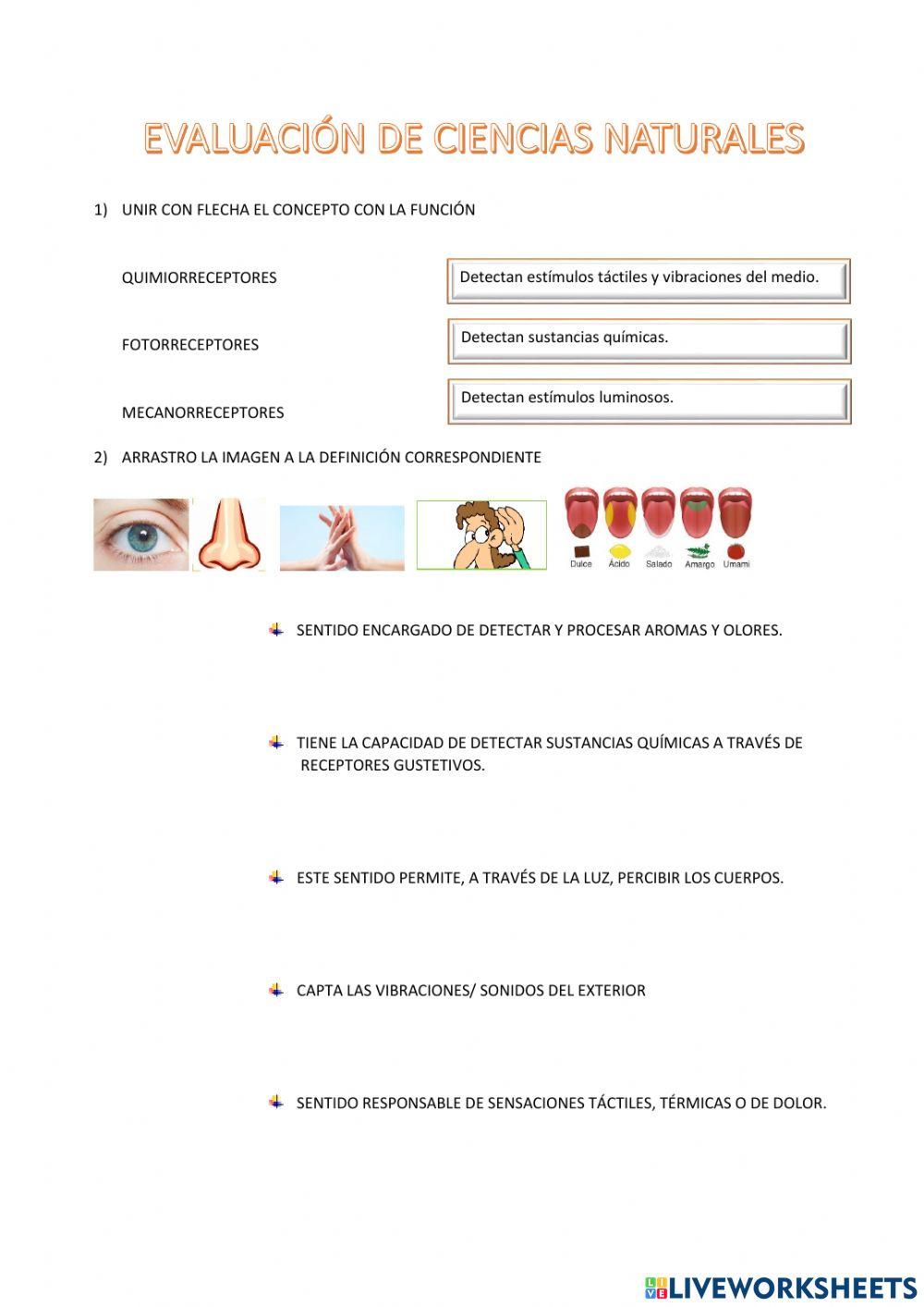 Evaluacion naturales