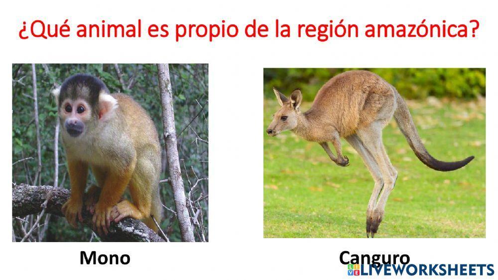 Región amazónica