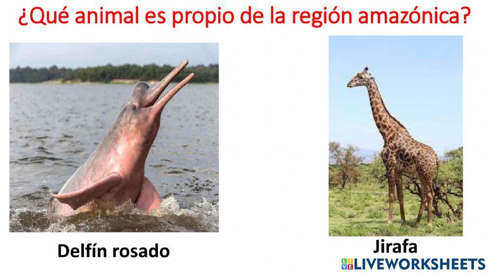 Región amazónica