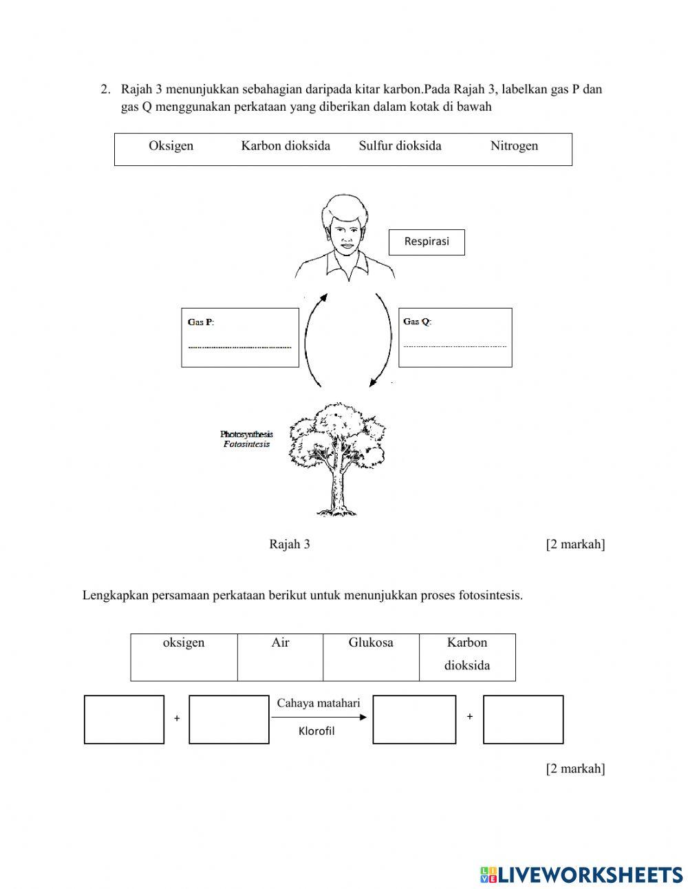 Ujian summatif 2 ogos 2021