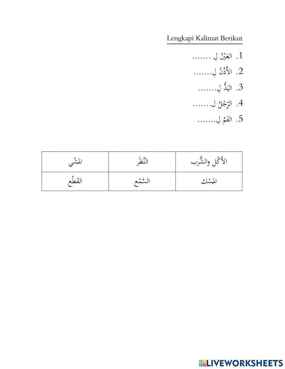 Mengenal Fungsi Anggota Tubuh