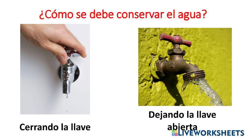 Cuidado de los recursos naturales