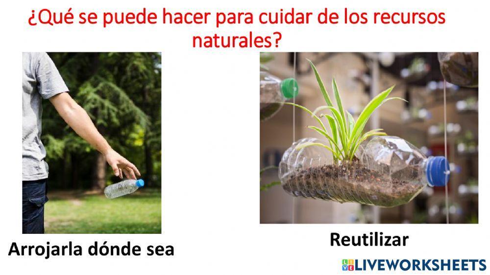 Cuidado de los recursos naturales