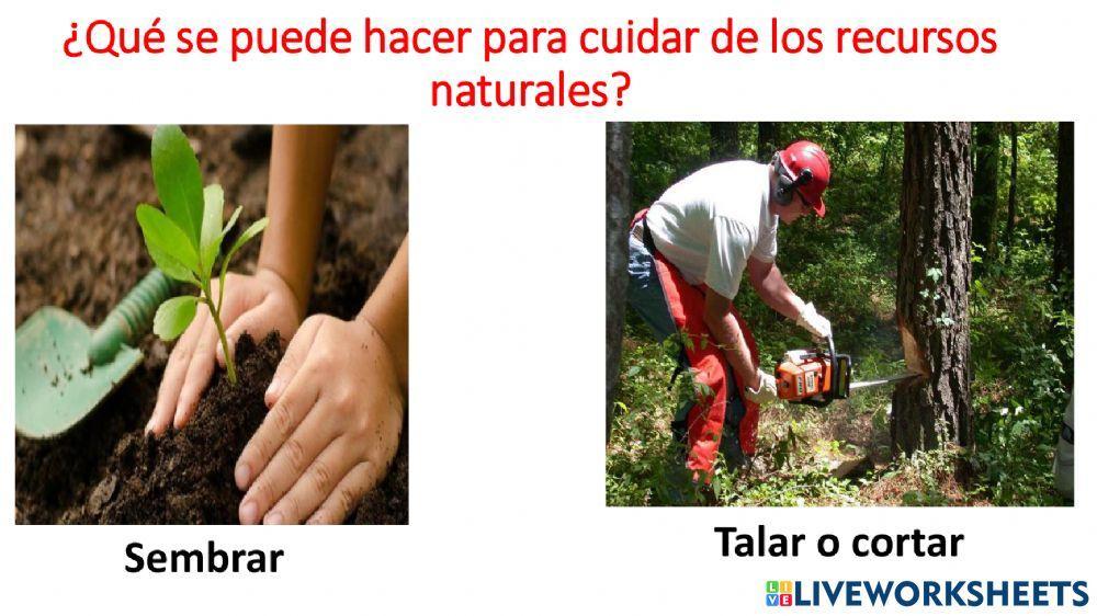 Cuidado de los recursos naturales