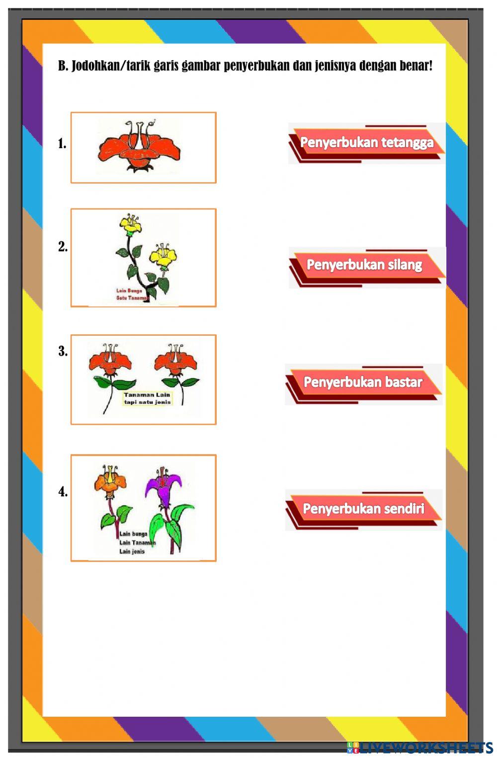 Perkembangbiakan Tumbuhan