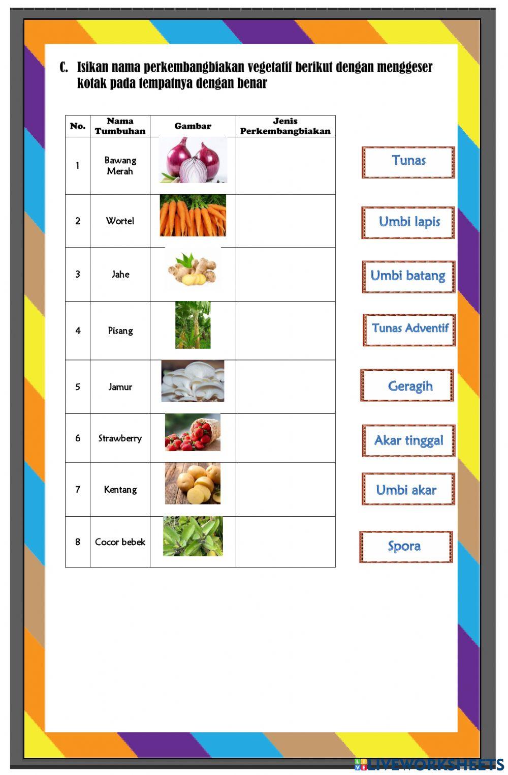 Perkembangbiakan Tumbuhan