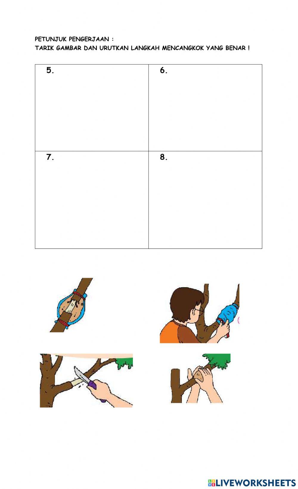 Lkpd tema 1 st 4 kelas 3