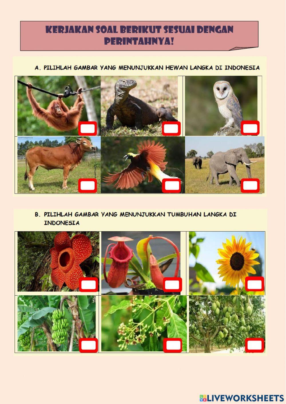 IPA Tema 1 Subtema 3 SD 6