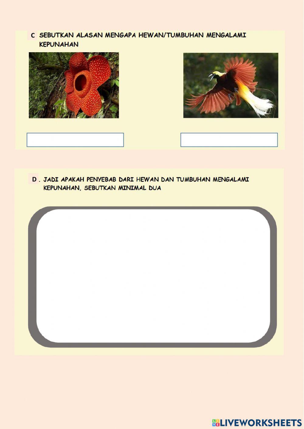 IPA Tema 1 Subtema 3 SD 6