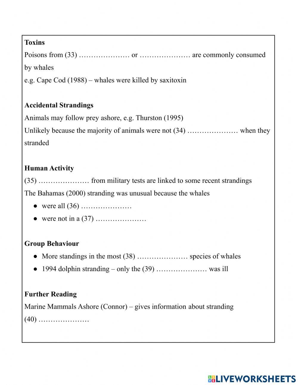 Lis-cam9-test1-section4